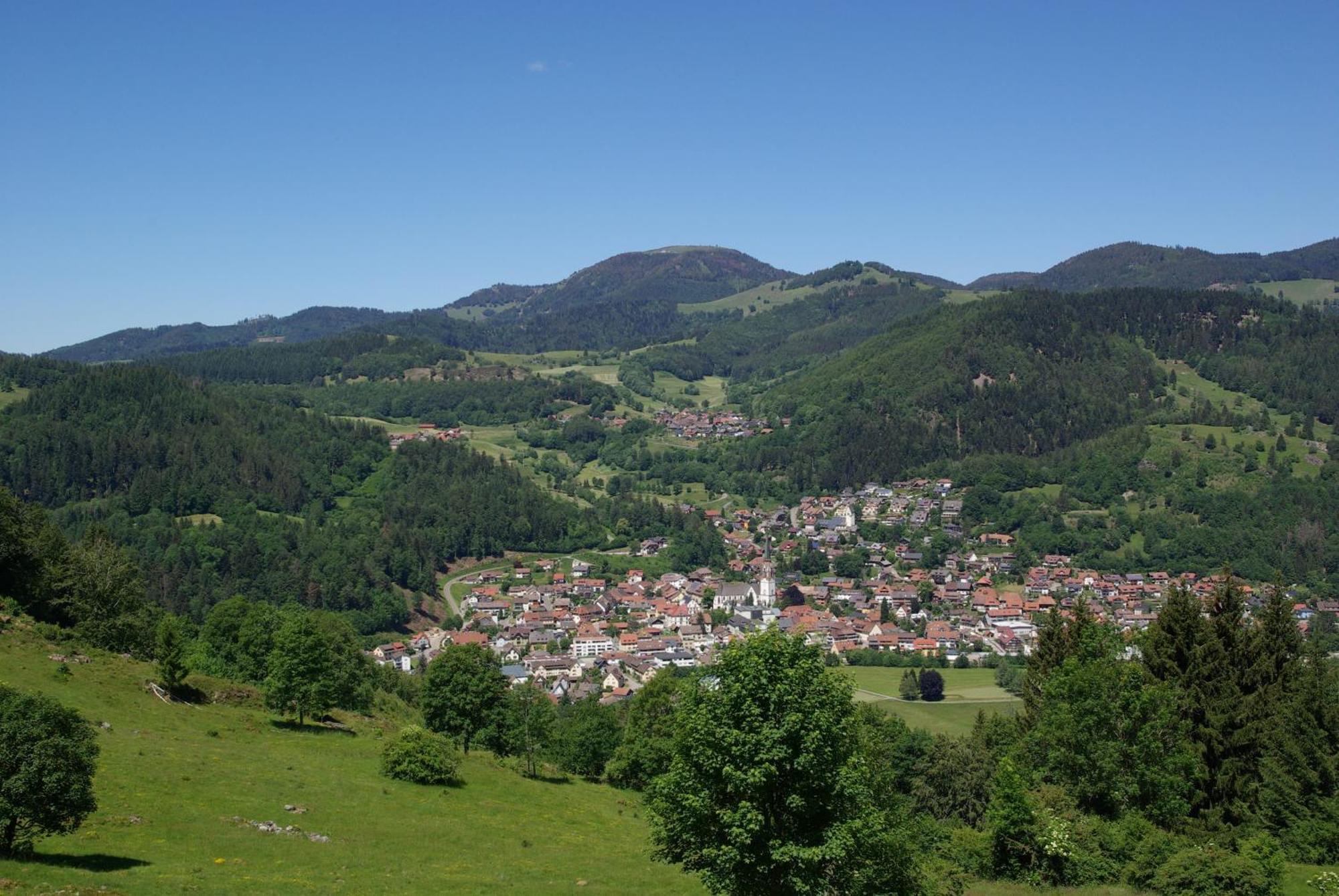Haus Foehrenbach * Schonenberg
