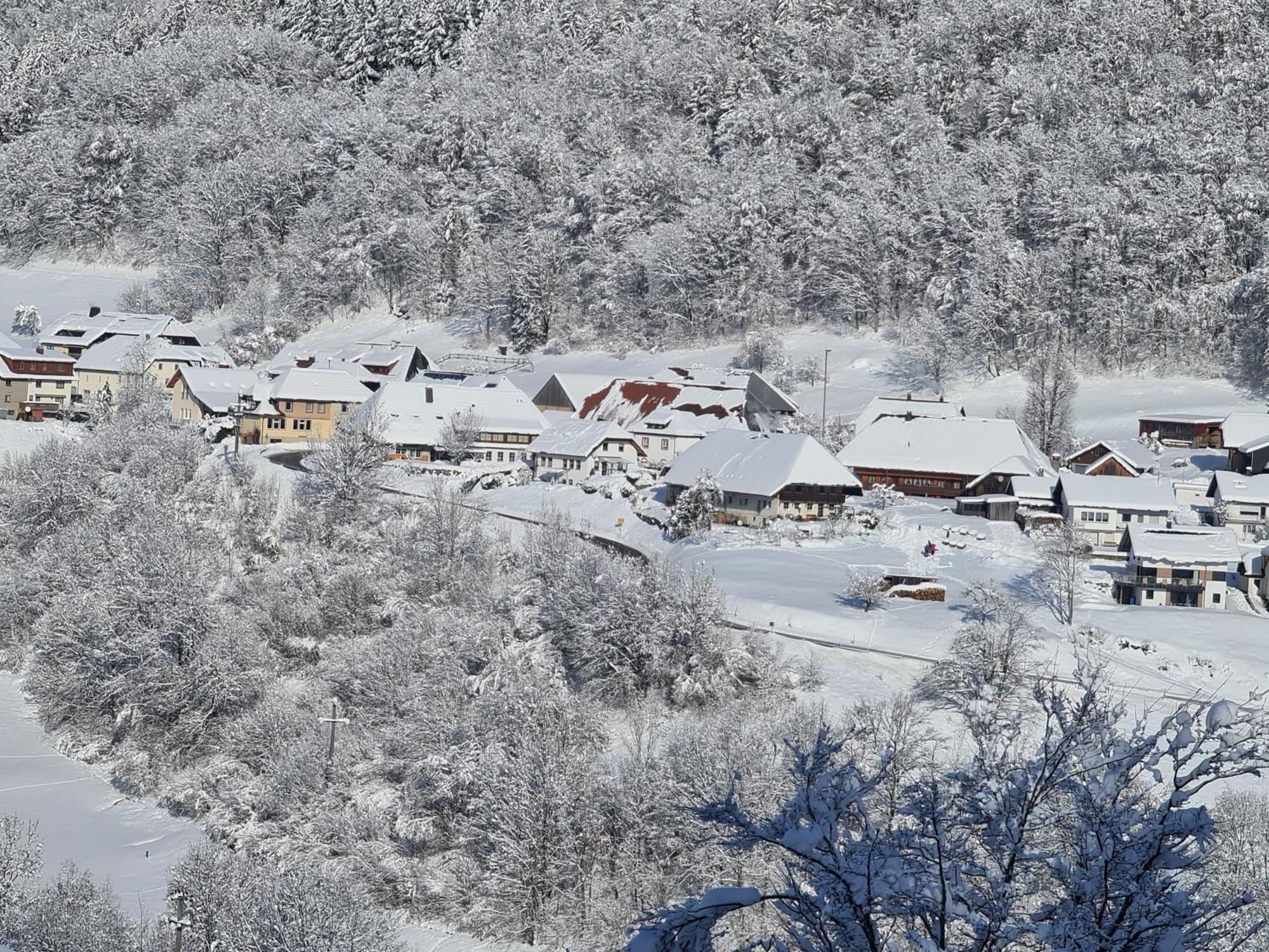 Apartament Haus Foehrenbach