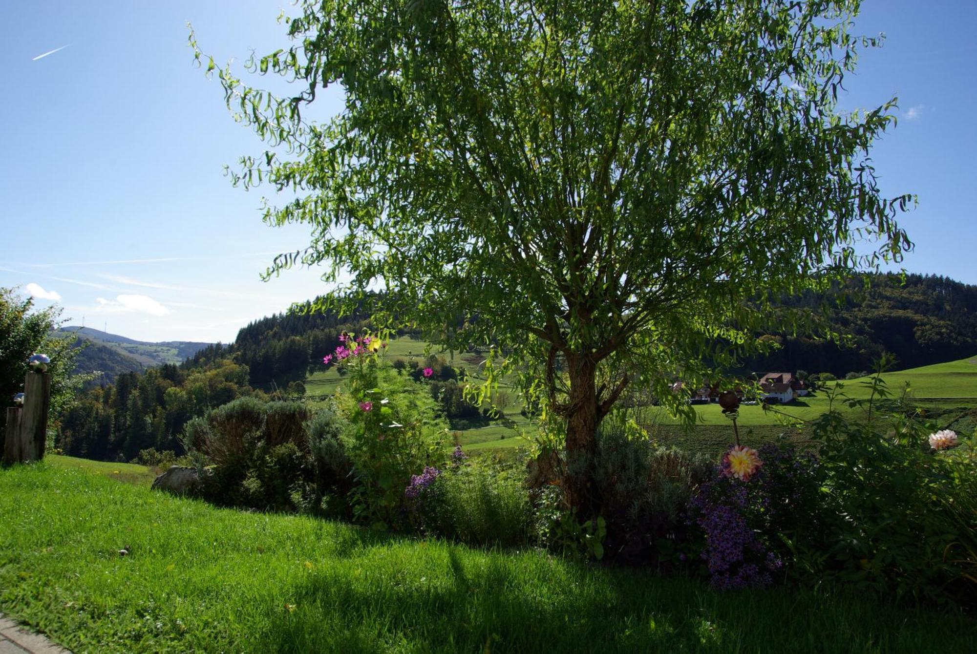 Haus Foehrenbach *